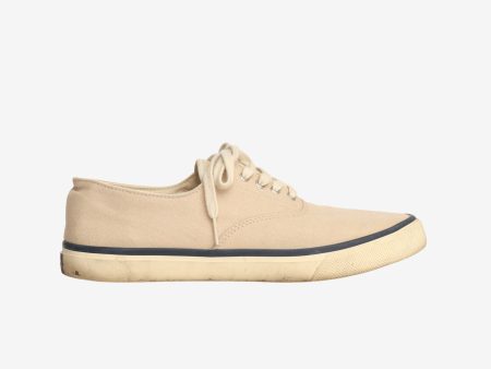 Top Sider Canvas Sneakers For Discount