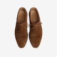 Westfield Calf Suede Shoes Online now