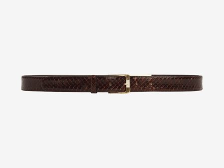 Crocodile Belt Online now