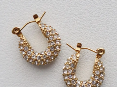 Aria Pave Hoops For Discount