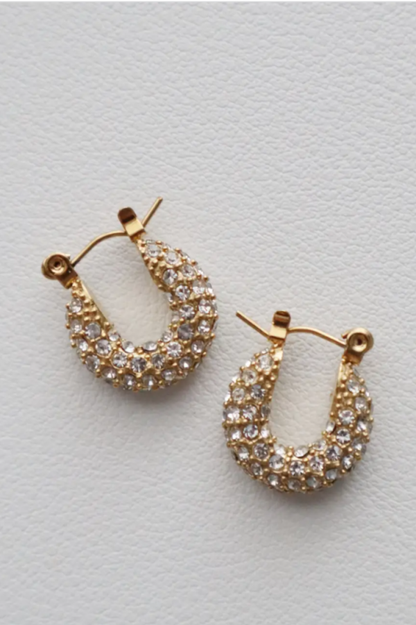 Aria Pave Hoops For Discount