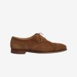 Westfield Calf Suede Shoes Online now