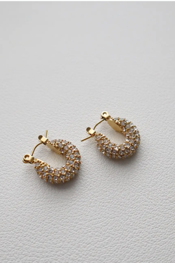 Aria Pave Hoops For Discount