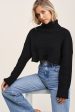 Aspen Turtleneck Sweater - Black Online