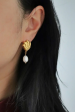 Seashell Pearl Earrings Dangle Earrings Hot on Sale